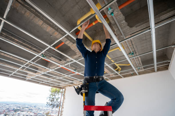Best Plumbing Inspection Services  in Arnaudville, LA